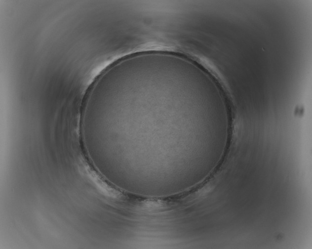 X0000111471220200907131511