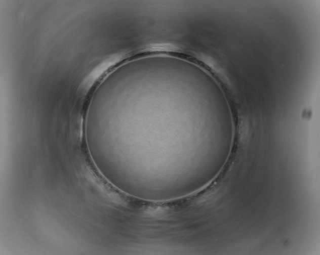 X0000111471221200907131511