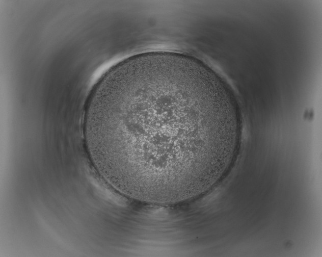 X0000111471222200907131511