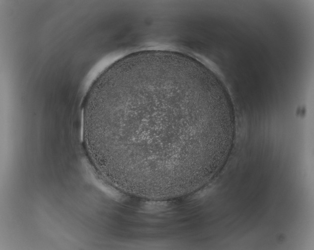 X0000111471223200907131511
