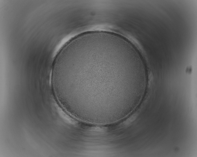 X0000111471224200907131511