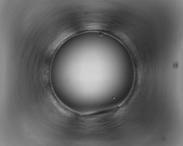 X0000111471225200907131511