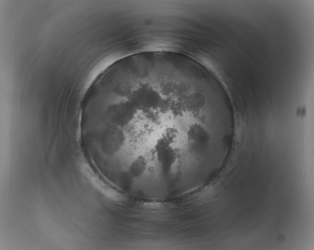 X0000111471227200907131511