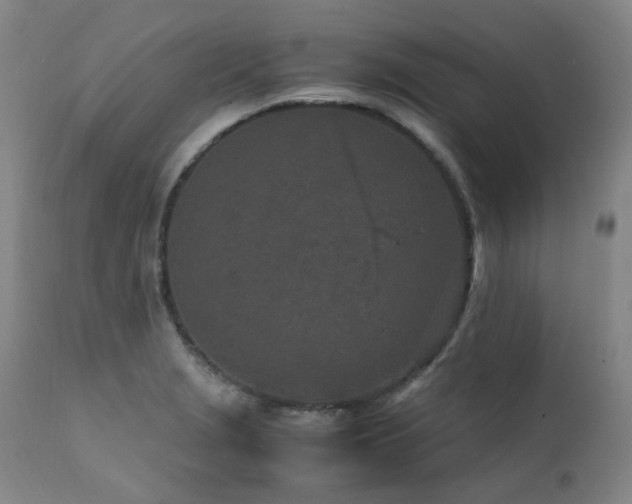X0000111471229200907131511
