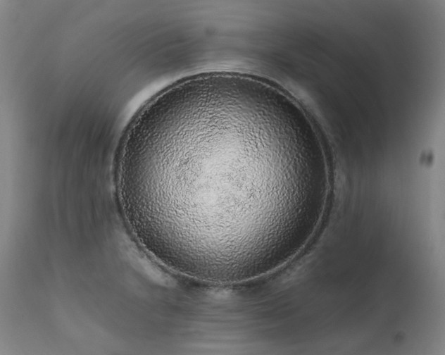 X0000111471230200907131511