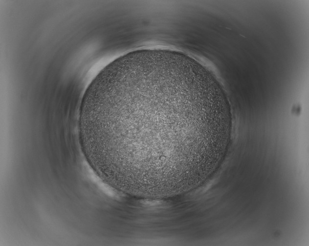 X0000111471231200907131511