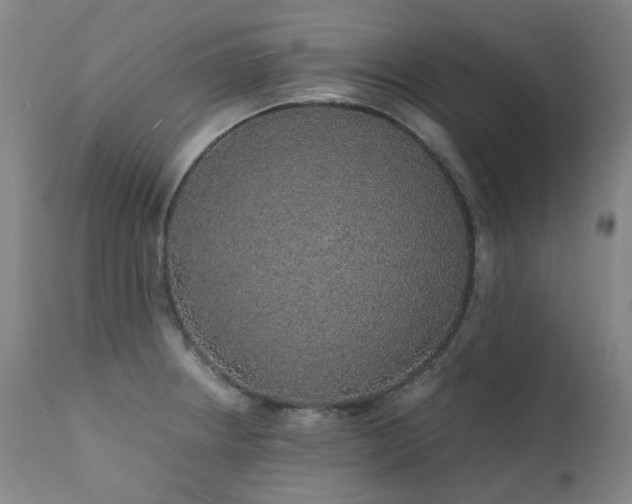 X0000111471234200907131511