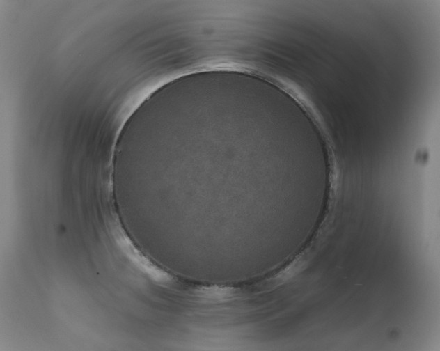 X0000111471236200907131511