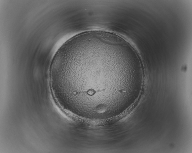 X0000111471239200907131511