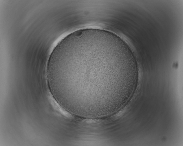 X0000111471240200907131511