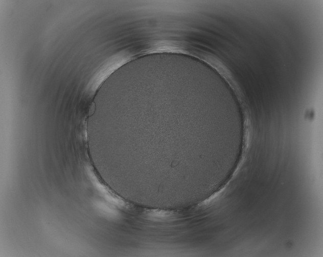 X0000111471241200907131511