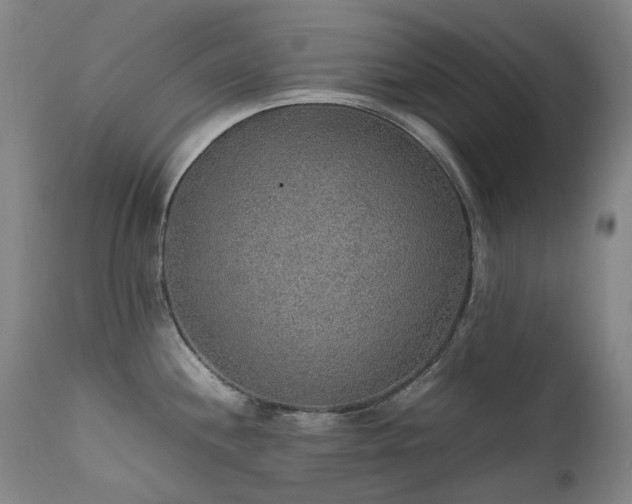X0000111471244200907131511