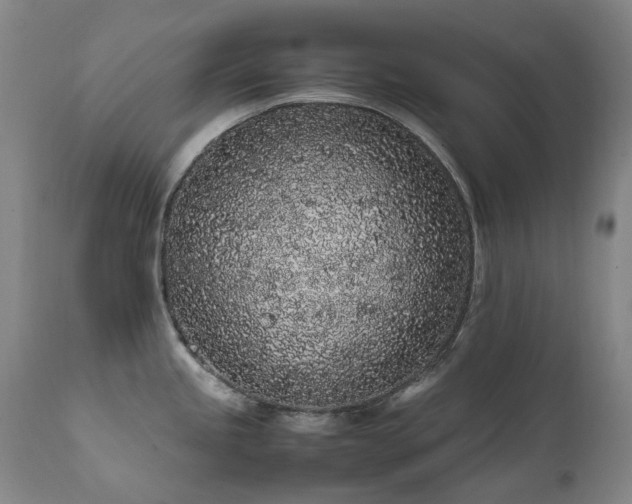 X0000111471245200907131511