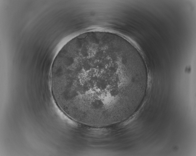 X0000111471247200907131511