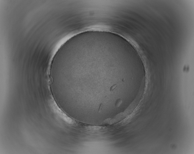 X0000111471248200907131511