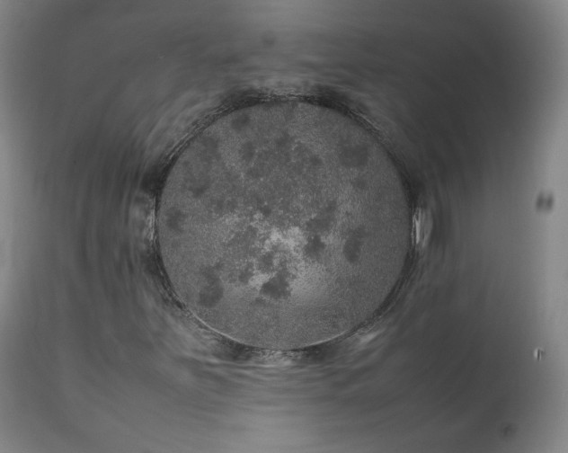X0000111471251200907131510
