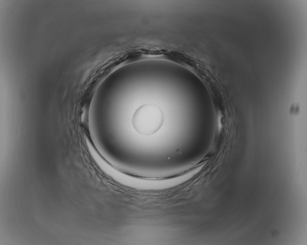 X0000111471253200907131510