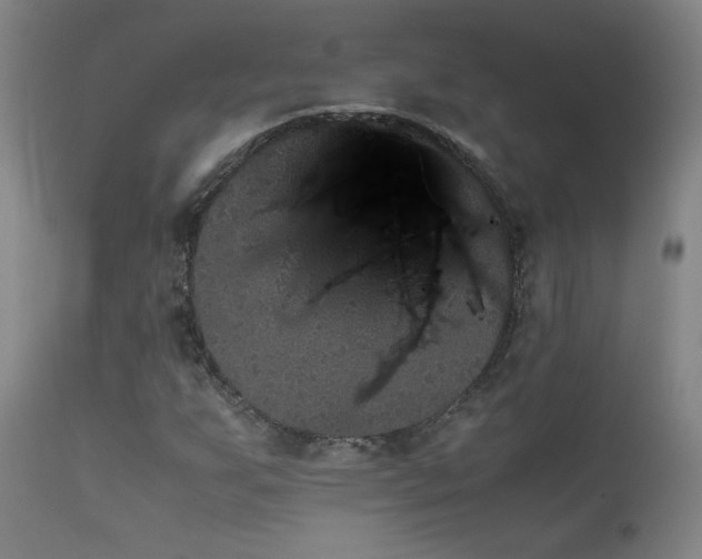 X0000111471255200907131510