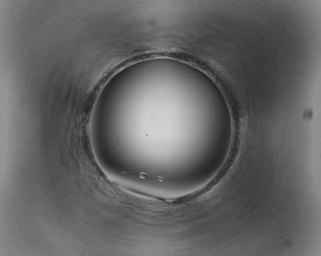 X0000111471257200907131510