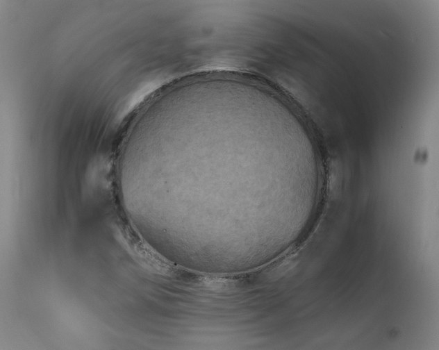 X0000111471258200907131510