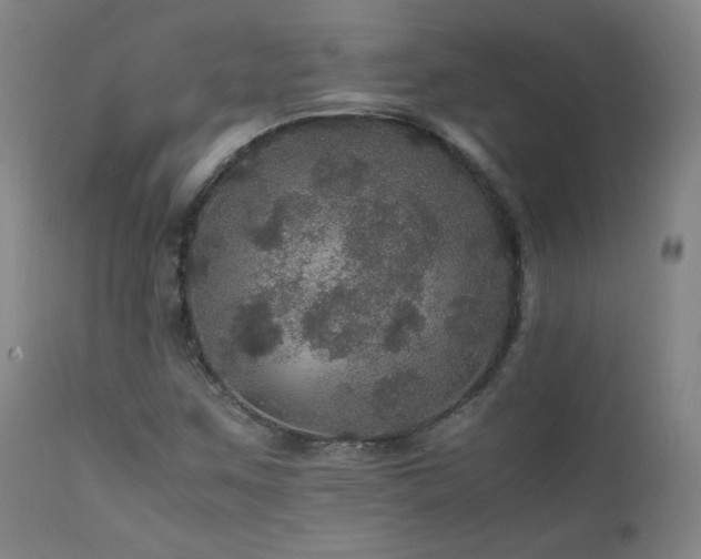 X0000111471259200907131510