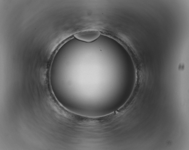 X0000111471260200907131510