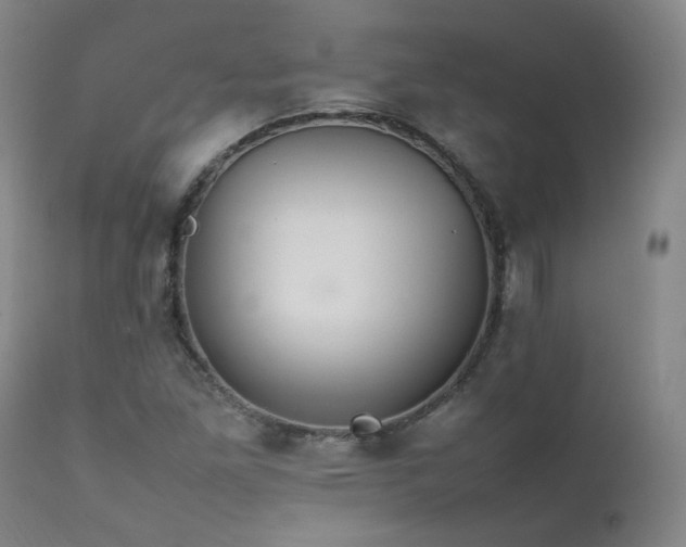 X0000111471261200907131510