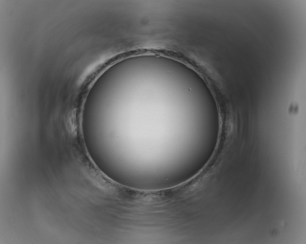 X0000111471262200907131510