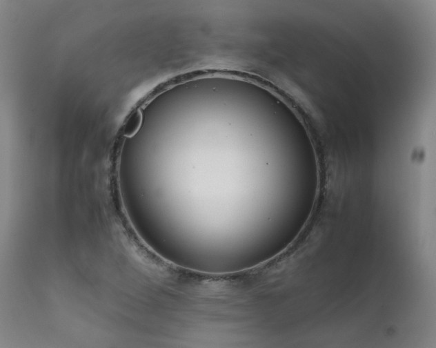 X0000111471264200907131510
