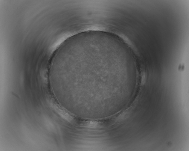 X0000111471266200907131510