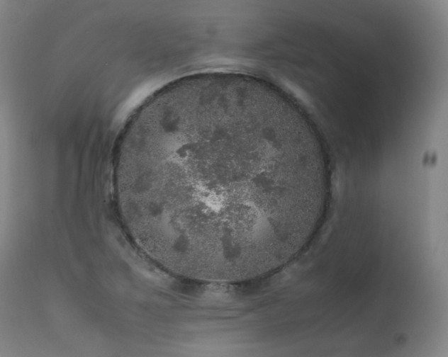 X0000111471267200907131510