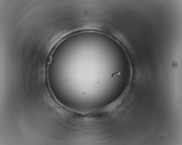 X0000111471268200907131510