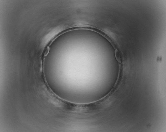 X0000111471269200907131510