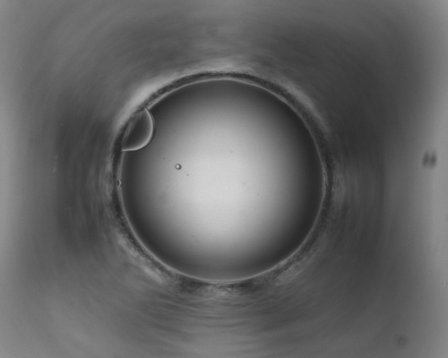 X0000111471270200907131510
