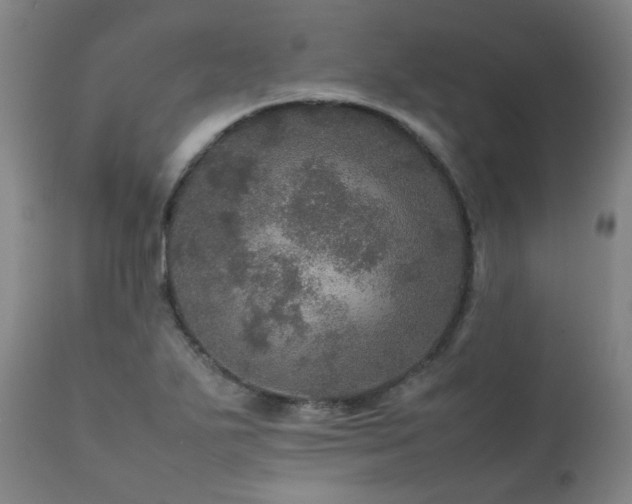 X0000111471271200907131510