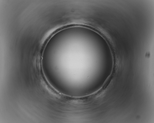 X0000111471272200907131510