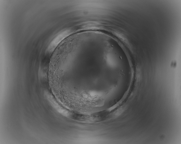X0000111471273200907131510
