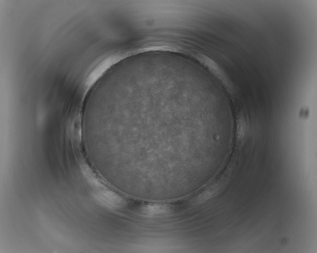 X0000111471274200907131510