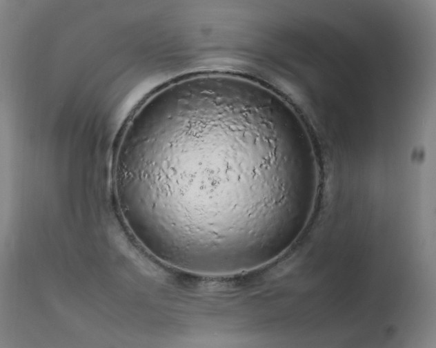 X0000111471275200907131510