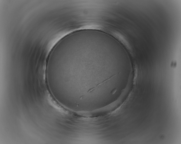 X0000111471276200907131510
