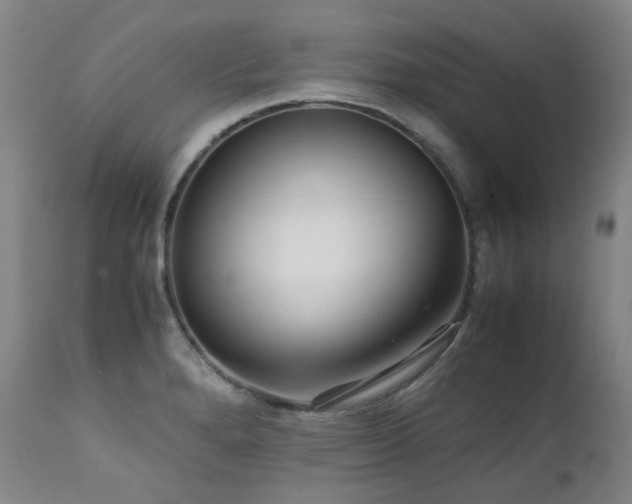 X0000111471280200907131510
