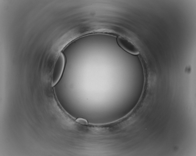 X0000111471281200907131510
