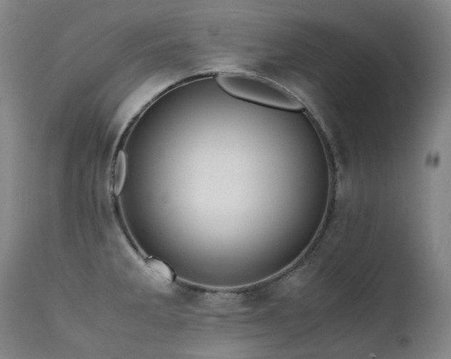 X0000111471285200907131510