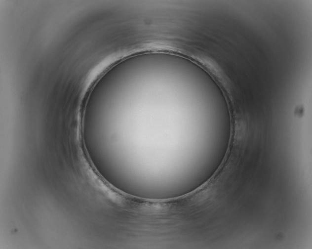 X0000111471286200907131510