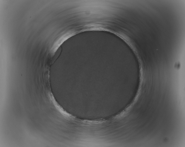 X0000111471289200907131510