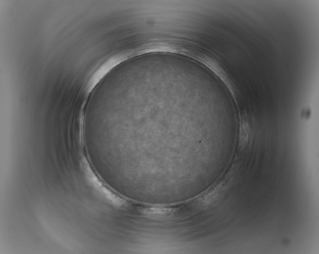 X0000111471290200907131510