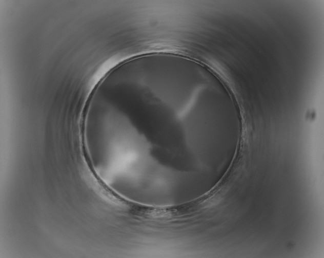 X0000111471291200907131510
