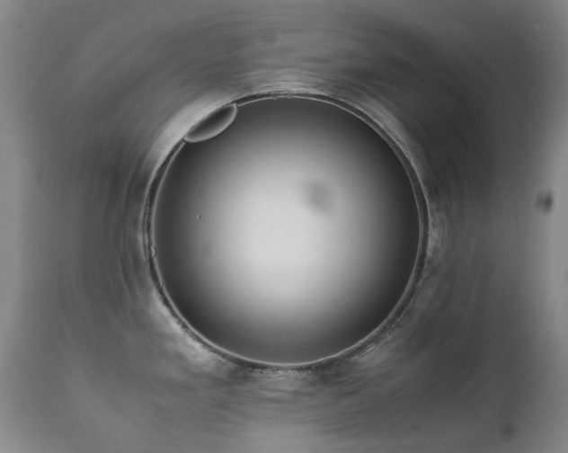X0000111471293200907131510