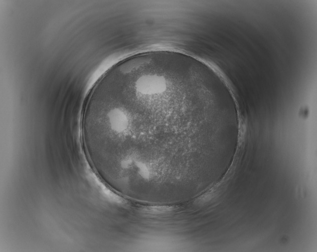 X0000111471294200907131510