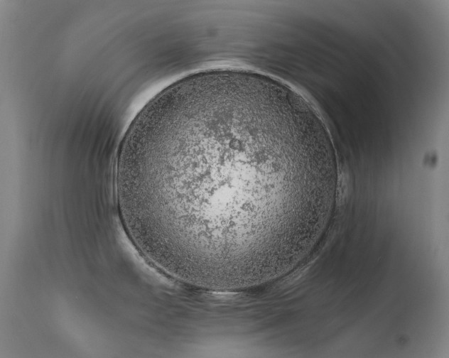 X0000111471295200907131510